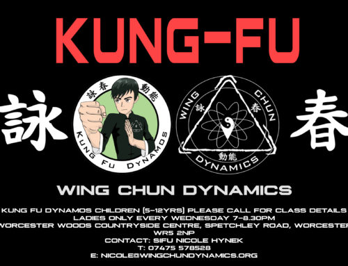 Kung Fu Dynamos – Martial Arts for Kids, gets under way..